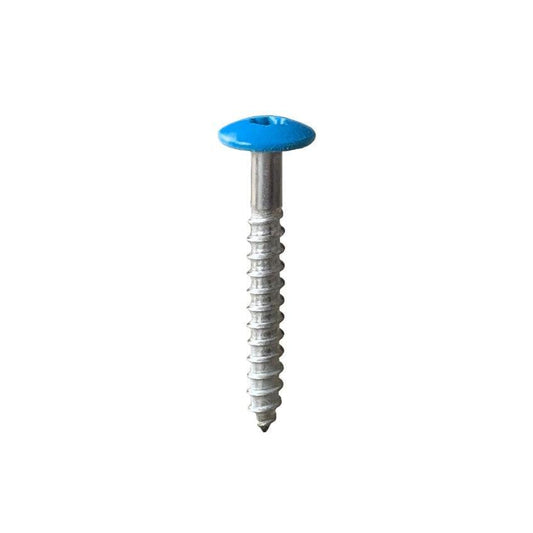 A4 Stainless Steel Low Profile Screw - 5.5 x 35 x 16 - My Store
