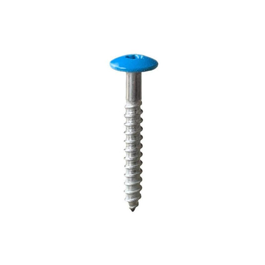A4 Stainless Steel Low Profile Screw - 5.5 x 100 x 14 - My Store