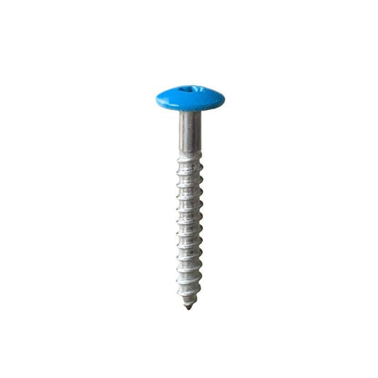 A4 Stainless Steel Low Profile Screw - 5.5 x 25 x 12 - My Store